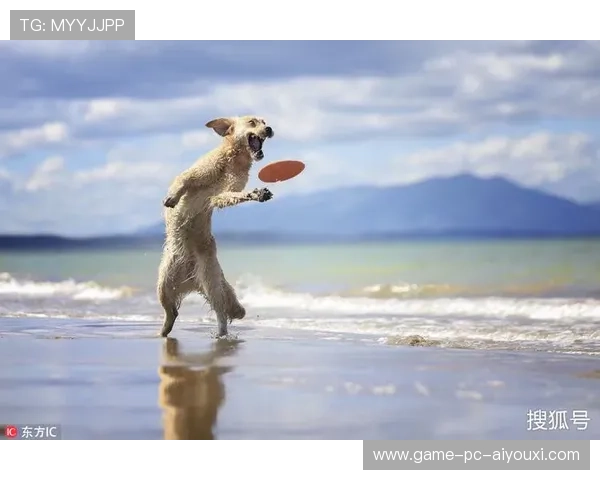 飞盘玩家在海边接到难度拉满的反风球