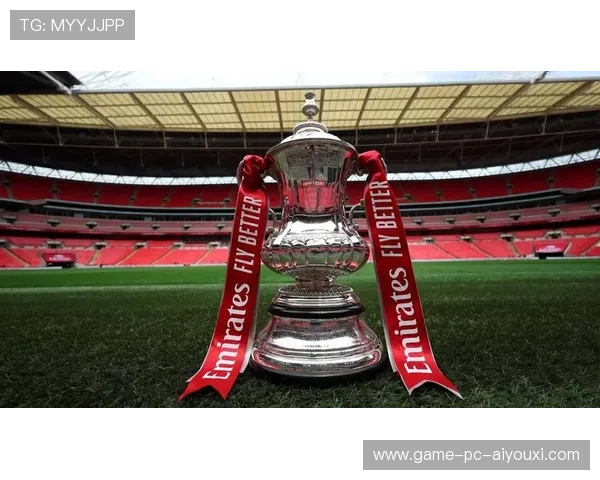 曼联新星加布里埃尔闪耀足总杯，未来可期