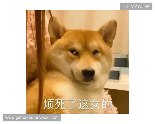 “网坛小猪佩奇”再次搞怪，全网爆笑